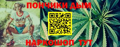 крисы Ирбит