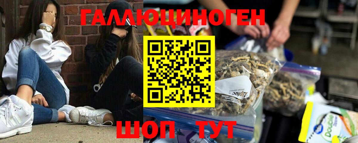 Старый Оскол  Псилоцибиновые грибы ЛСД  Галлюциногенные грибы MAGIC MUSHROOMS  Вход с VPN 